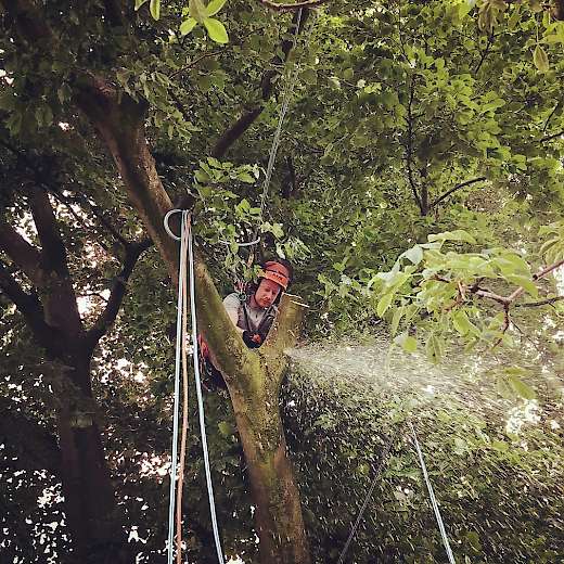 Klik voor een grotere foto!